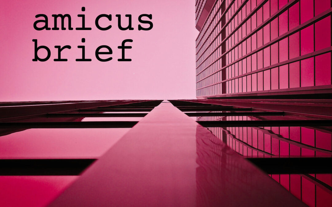 Amicus Brief | Royalty-Free Music